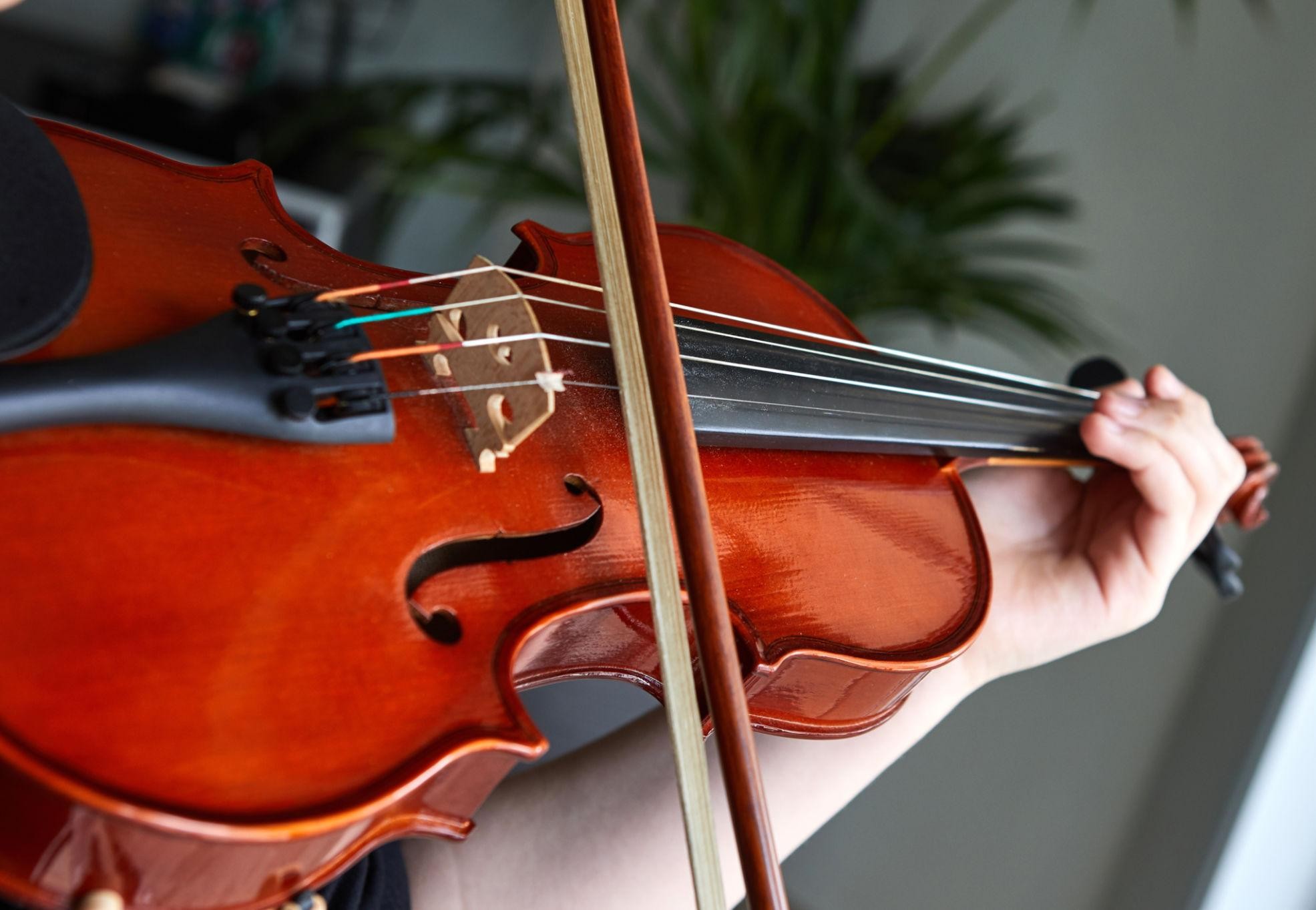 Violin